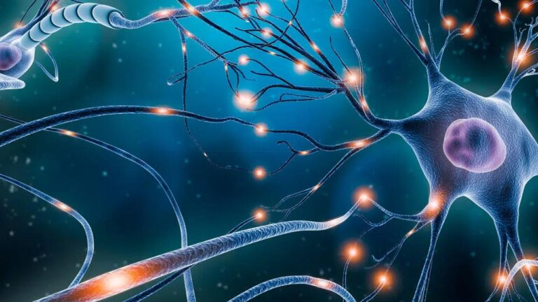 Детальніше про статтю Клітинна терапія та покращення якості життя